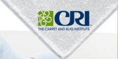 Z cyklu: „Stowarzyszenia przemysłu – CRI, część 1”
